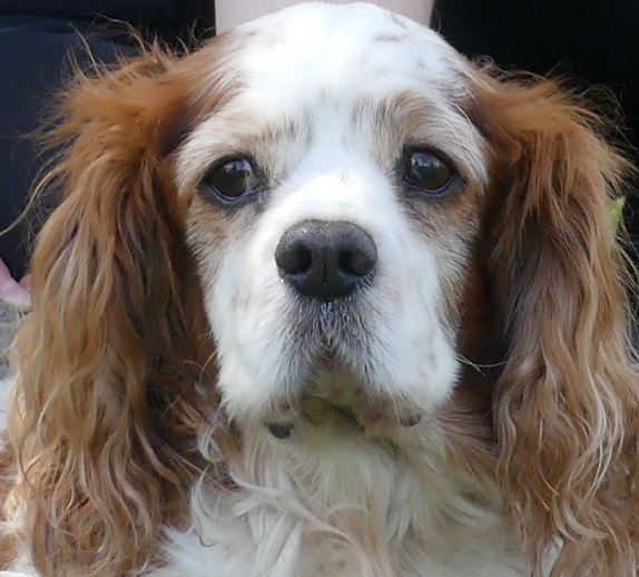 Charlie